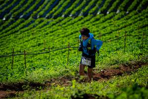 BIB: 2021
                            <button type="button" onclick="openModal(19160834)" class="btn btn-primary btn-sm float-right btn-popup" data-toggle="modal" data-target=".modal-high-quality">
                        <i class="fas fa-shopping-cart"></i> Add to Cart
                    </button>
                                            <button type="button" onclick="isThisMe(19160834, true)" class="btn btn-success btn-sm float-right btn-popup btn-isme hidden" data-toggle="tooltip" data-placement="bottom" title="นี่คือรูปของคุณใช่ไหม คลิกที่นี่เพื่อเอาเข้าอัลบั้ม">
                        <i class="fas fa-plus"></i> Add to album
                    </button>
                    <button type="button" onclick="isThisMe(19160834, false)" class="btn btn-warning btn-sm float-right btn-popup btn-isnotme hidden">
                        <i class="fas fa-ban"></i> Remove from album
                    </button>